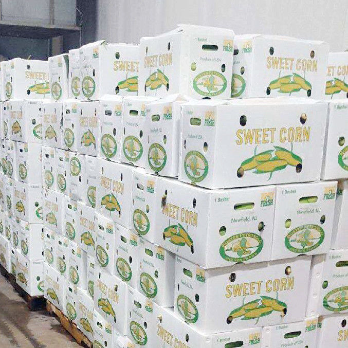 Klappbares Produkt für den Warmverkauf Umweltfreundlich Dauerhafte Schutzfolie Kunststoff-Behälter für Obst und Gemüse